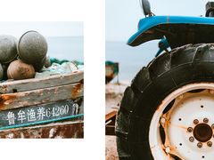 -养马岛旅游度假区
