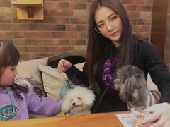 -more than meow吴止猫主题餐厅(承德 中船汇店)