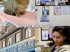 -美联众合动物医院·24h京西诊疗中心