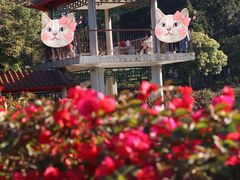 -深圳龙潭公园