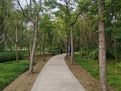 -昆山城市生态森林公园