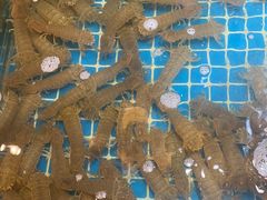 -和源祥·日照菜扛把子(万平口一店)