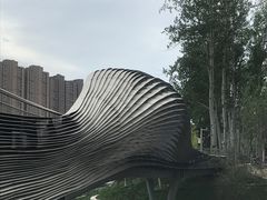 -坝河休闲公园