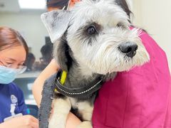 -美联众合动物医院·24h京西诊疗中心
