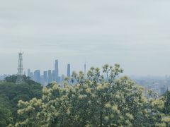 -广州市白云山风景名胜区