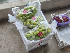 -马陆小张葡萄园农家乐