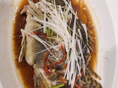 -高第街56号港式餐厅(山大路店)