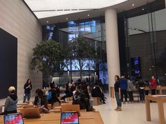-Apple零售店(济南恒隆广场店)