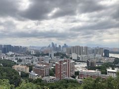 -福道