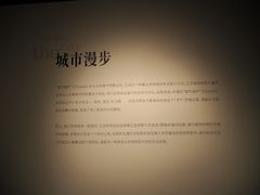 -江苏省美术馆(长江路新馆)