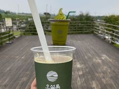 -雪绿茶博物馆
