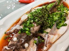 青花椒蒸翘嘴白-红色江山(首钢国际大厦店)