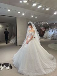 -B.Bridge Couture婚纱礼服(福田店)