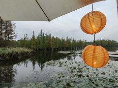 -白鹭湾湿地公园