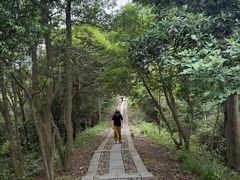 -午潮山国家森林公园