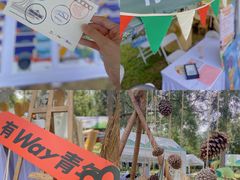 -南宁良凤江国家森林公园