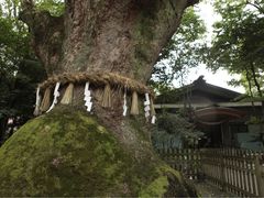 -热田神宫