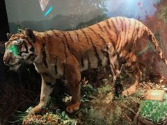 -陕西自然博物馆