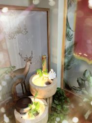 -苗方清颜·祛痘皮肤管理
