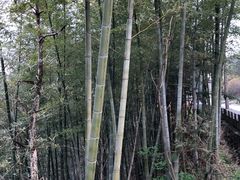 -文娟土菜馆(天柱山店)