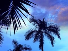 -牡丹游泳馆(金山馆)