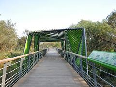 -西湖风景区-江洋畈生态公园