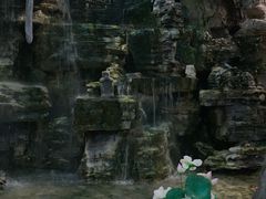 -东方华地城湿地温泉度假区
