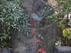 -西安大兴善寺