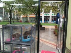 android_upload_pic-爱宠屋pet shop·宠物洗澡·宠物美容