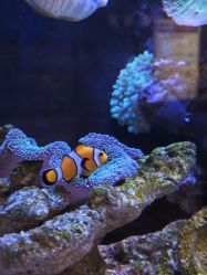 -Zoolung Zoolung动物主题公园(海信广场店)