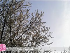 -哈尔滨师范大学(江南校区)