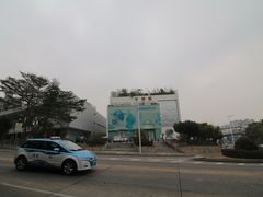 -银湖山郊野公园-相思林