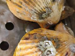 -蚝多蚝·涮羊肉·鲜肉烧烤(大学城店)