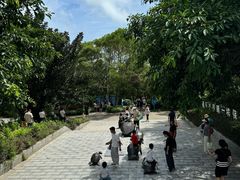 -广东惠东海龟国家级自然保护区