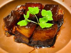 青柑普洱红烧肉-二十四单 淮扬新味