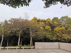 -深圳国际园林花卉博览园