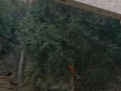 -天梯山