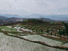 -牙胡梯田景区