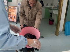 -汪喵宠物医院·骨科心脏影像·犬猫急重症ICU诊疗中心(成华分院)