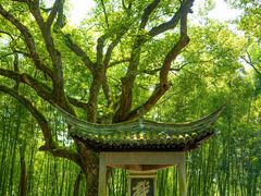 -绍兴东湖风景区