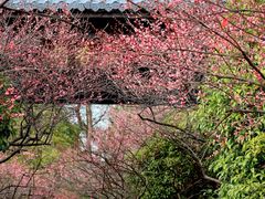 -凤凰沟景区