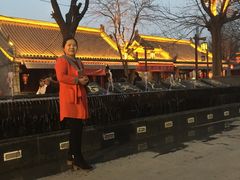 -清真老马家国华牛奶鸡蛋醪糟(正宁路店)