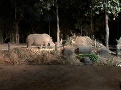 -清迈夜间动物园