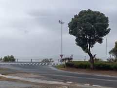 -美味之家·湖景农家乐(太湖东山店)