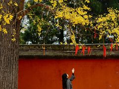 -金堂县云顶石城风景区