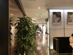 -崇尚GAVIN STYLE臻选