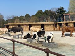 -无锡动物园·太湖欢乐园