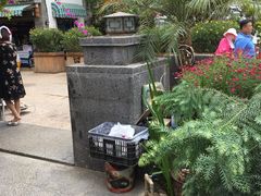 -海韵人家.海景花园经典云南菜(双廊店)