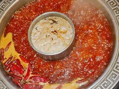 -杨肥肠火锅大排档(火车站花园店)