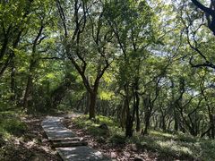 -平湖九龙山旅游度假区
